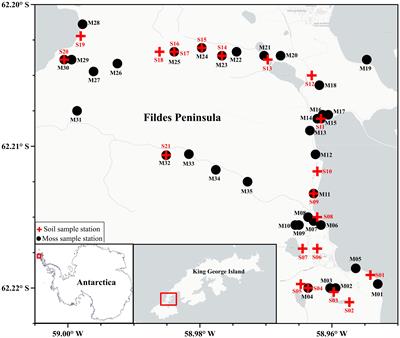 The evaluation of trace elements and associated risk in the polar ecosystem of the Fildes Peninsula, Antarctica